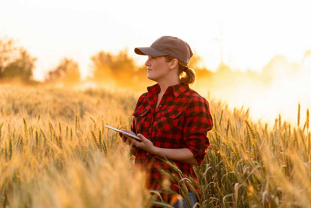 An agronomist checking a wheat crop with a tablet