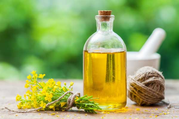 A bottle of canola oil beside canola flowers