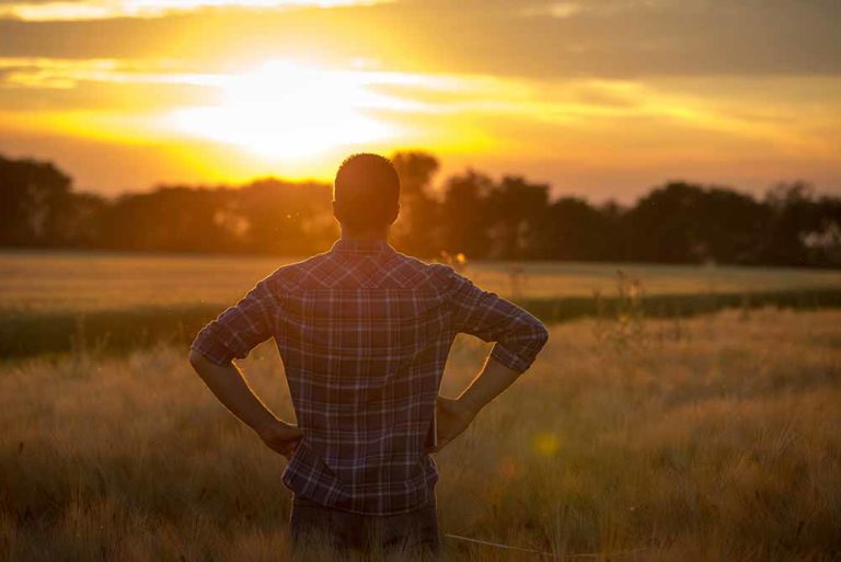 A farmer looking over a paddock at sunset