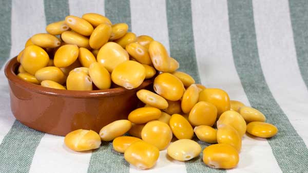 A bowl of lupin beans
